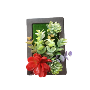 QUADRO PLANTA RETANGULAR COM SUCULENTAS