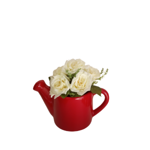 Regador Vermelho Decorativo