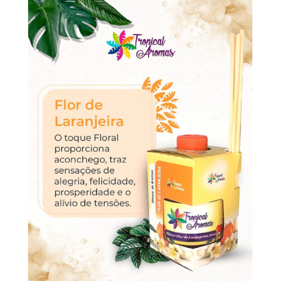 https://www.adrianacristinamigliati.futurasistemas.com.br/image/cache/data/eftr/Img_ftr_rp_361401-580x580.PNG