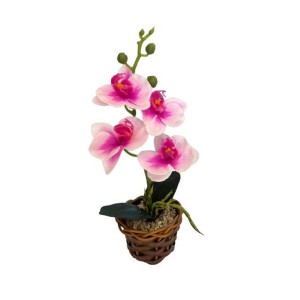 Arranjo Mini Orquídea Com Flores Grandes