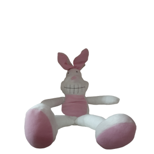 COELHO GALA DE CINEMA PORTA PRESENTE